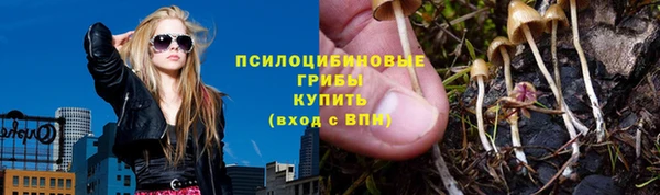 прущие крисы Вяземский
