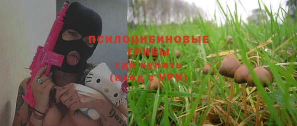 ГАЛЛЮЦИНОГЕННЫЕ ГРИБЫ Горнозаводск