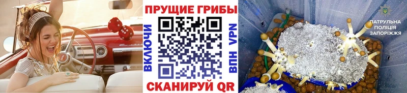 Галлюциногенные грибы мицелий  Оха 
